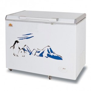 Chest Freezer